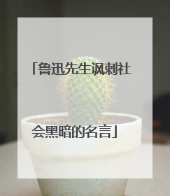 鲁迅先生讽刺社会黑暗的名言