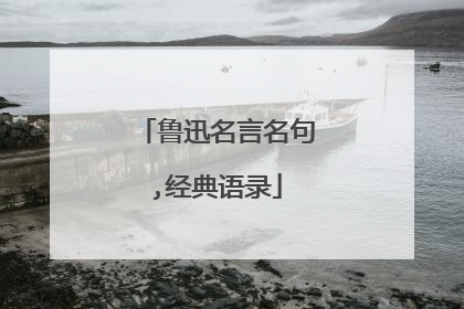 鲁迅名言名句,经典语录