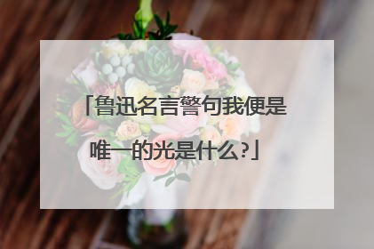 鲁迅名言警句我便是唯一的光是什么?