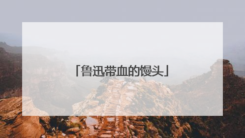 鲁迅带血的馒头