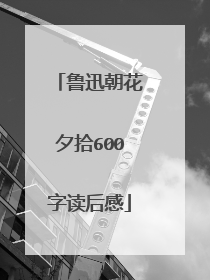 鲁迅朝花夕拾600字读后感