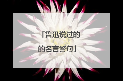 鲁迅说过的的名言警句