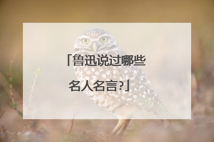 鲁迅说过哪些名人名言?