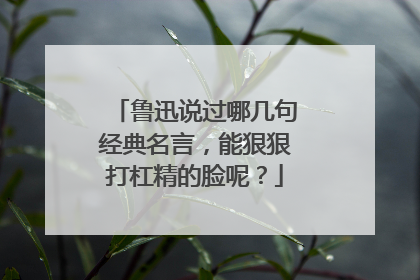 鲁迅说过哪几句经典名言，能狠狠打杠精的脸呢？