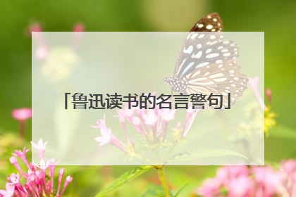 鲁迅读书的名言警句