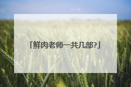 鲜肉老师一共几部?