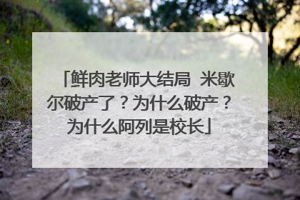 鲜肉老师大结局 米歇尔破产了?为什么破产?为什么阿列是校长