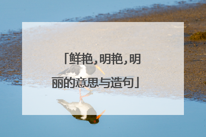 鲜艳,明艳,明丽的意思与造句