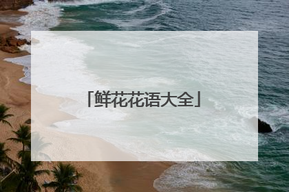 鲜花花语大全