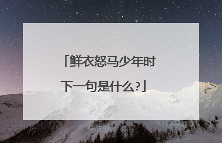 鲜衣怒马少年时下一句是什么?