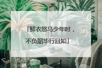 鲜衣怒马少年时，不负韶华行且知