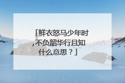 鲜衣怒马少年时,不负韶华行且知什么意思?