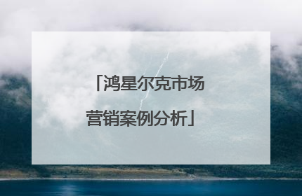 鸿星尔克市场营销案例分析