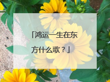 鸿运一生在东方什么歌?