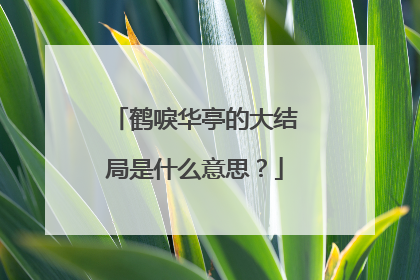 鹤唳华亭的大结局是什么意思？