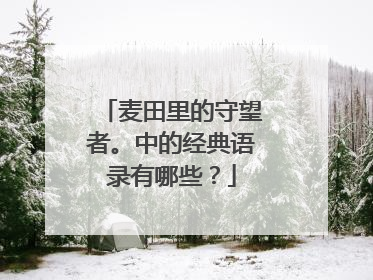 麦田里的守望者。中的经典语录有哪些?