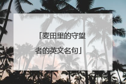 麦田里的守望者的英文名句