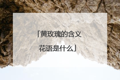 黄玫瑰的含义 花语是什么