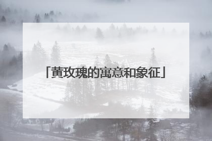 黄玫瑰的寓意和象征