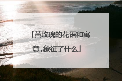黄玫瑰的花语和寓意,象征了什么