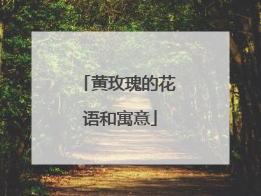 黄玫瑰的花语和寓意