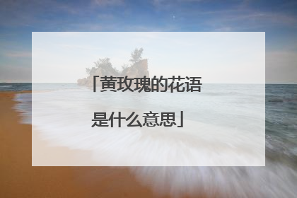 黄玫瑰的花语是什么意思