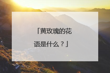 黄玫瑰的花语是什么？
