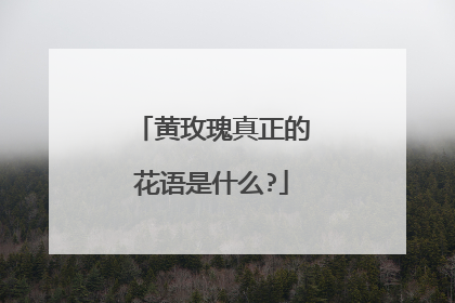黄玫瑰真正的花语是什么?