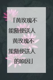 黄玫瑰不能随便送人 黄玫瑰不能随便送人 的原因