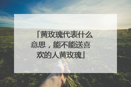 黄玫瑰代表什么意思，能不能送喜欢的人黄玫瑰