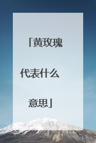 黄玫瑰代表什么意思