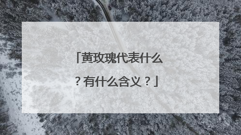 黄玫瑰代表什么?有什么含义?