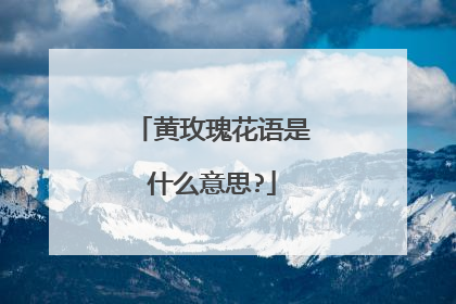 黄玫瑰花语是什么意思?