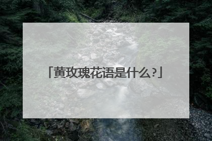 黄玫瑰花语是什么?