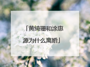 黄绮珊和涂惠源为什么离婚