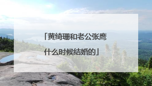 黄绮珊和老公张鹰什么时候结婚的