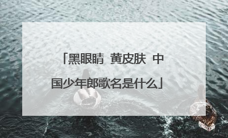 黑眼睛 黄皮肤 中国少年郎歌名是什么