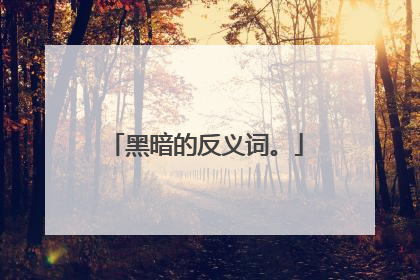 黑暗的反义词。