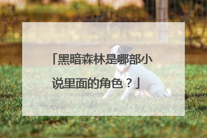 黑暗森林是哪部小说里面的角色?