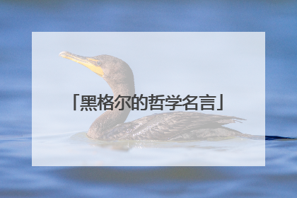 黑格尔的哲学名言