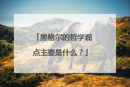 黑格尔的哲学观点主要是什么?