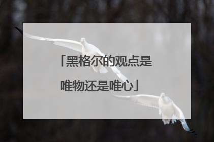 黑格尔的观点是唯物还是唯心