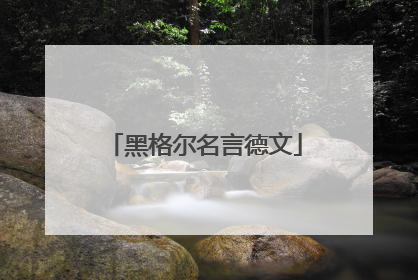 黑格尔名言德文