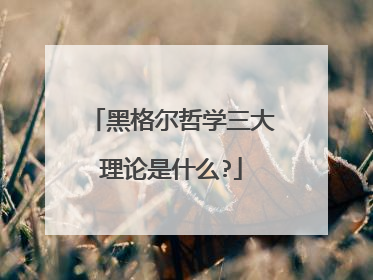 黑格尔哲学三大理论是什么?