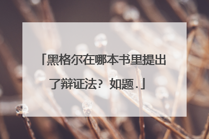 黑格尔在哪本书里提出了辩证法? 如题.
