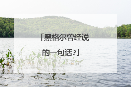 黑格尔曾经说的一句话?