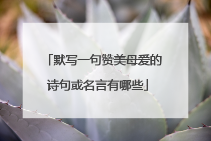 默写一句赞美母爱的诗句或名言有哪些