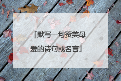 默写一句赞美母爱的诗句或名言