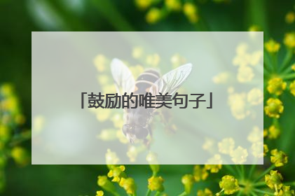 鼓励的唯美句子