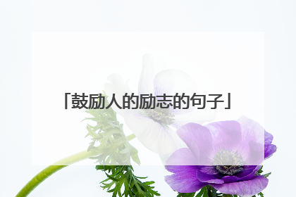 鼓励人的励志的句子